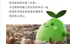 胡歌消失2个月做什么去了 现身护林种树苗被晒得黝黑