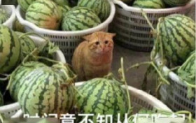潘霜霜内涵林峯什么事情 原来手上有六段精彩视频