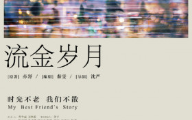 流金岁月男主角是谁 流金岁月剧情简介