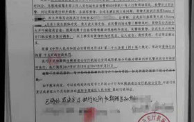 黄铮机场打骂小孩事件始末，黄铮个人资料机场打骂小孩被拘留