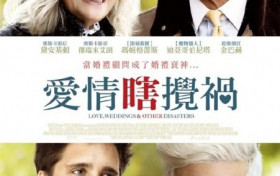 豆瓣电影爱情婚礼和其它灾难剧情分析 请接受爱情中的不完美