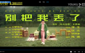 阳光劫匪电影影评 为何老虎能成为主演