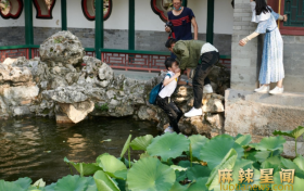 隐秘的角落严良救落水男孩 奋不顾身见义勇为让人赞叹