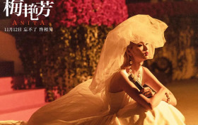 传记电影梅艳芳 梅艳芳扮演者挑选3年才确定王丹妮