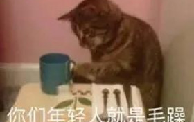 这部探案剧好上头 效果与笑果超预期了…