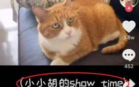 让孩子随父姓算不算独立女性 papi酱被骂背后思考