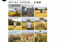 周杰捐2万斤大米价值多少 因林心如星途尽毁种田成亿万富豪