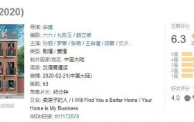 《安家》里的中介到底真不真？反映了许多房产中介的真实生活
