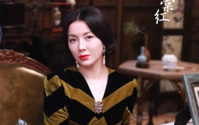 鬓边不是海棠红程美心谁演的 扮演者刘敏的个人资料简介