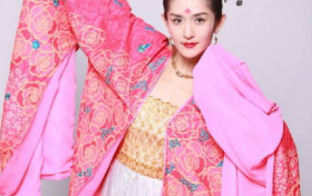 谢娜模仿刘敏涛哪一期 我寻思这也没那么像