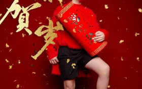 蔡国庆儿子蔡轩正晒新年写真 拼乐高庆祝脑洞大开