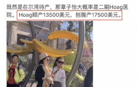 章子怡美国待产 脚踩平底鞋与友人同行超轻松