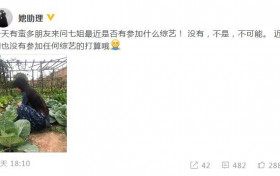 李子柒否认加盟综艺 没有参加任何综艺节目的打算
