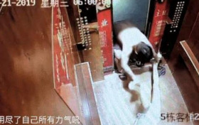 家暴网红前男友被拘 已依法作出对宇芽人身安全保护令