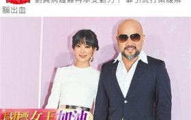 女星刘真已无法再动手术 靠引流打药续命粉丝纷纷为她祈祷