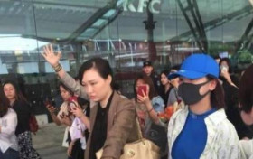 杨紫理智追星是怎么回事 疯狂追星的人到底有多可怕