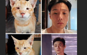 杨丞琳认证李荣浩撞脸猫咪 将在今年举行婚礼真是太甜了